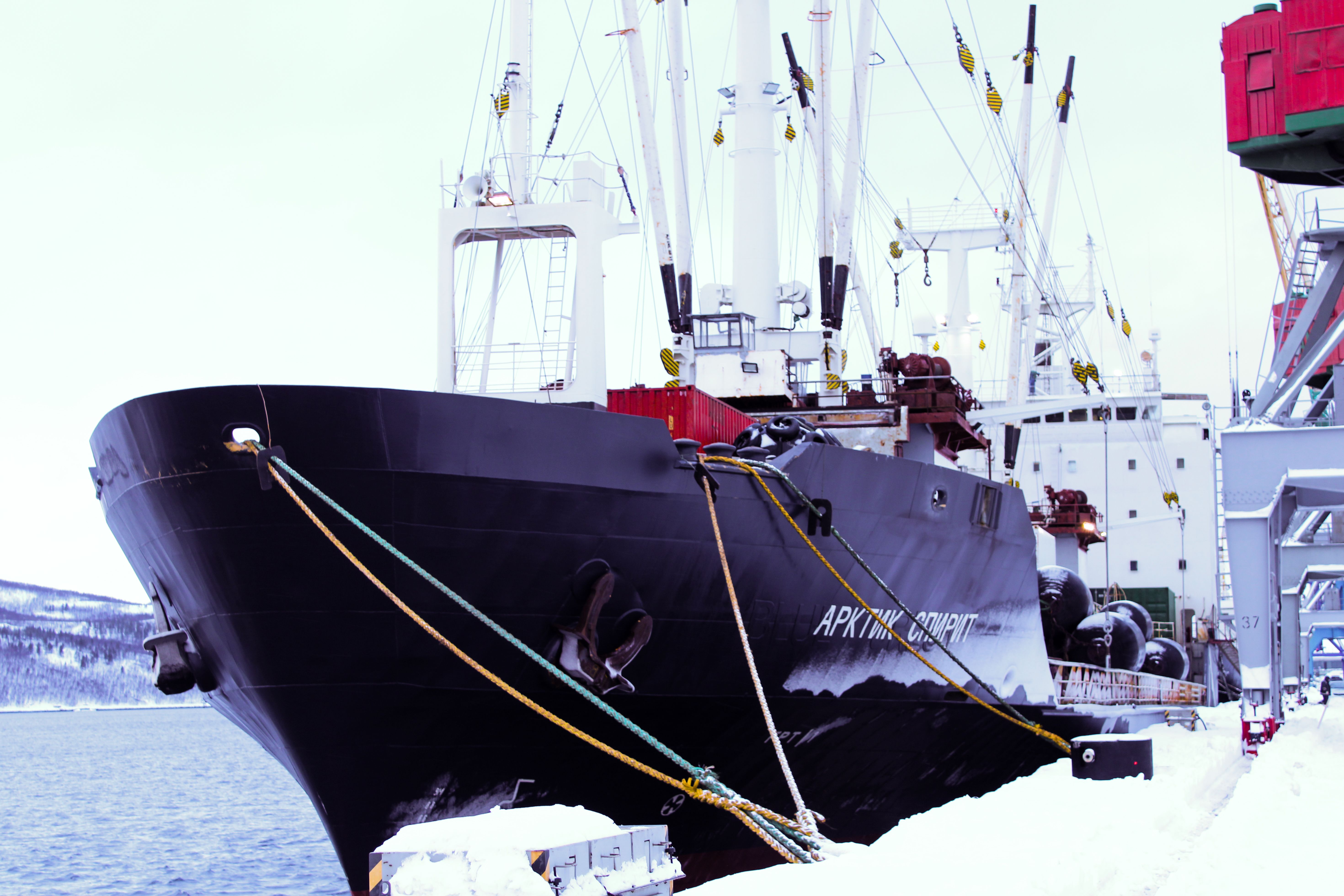В рыбный порт Мурманска пришло еще одно транспортное судно с рекордным за путину объемом мойвы