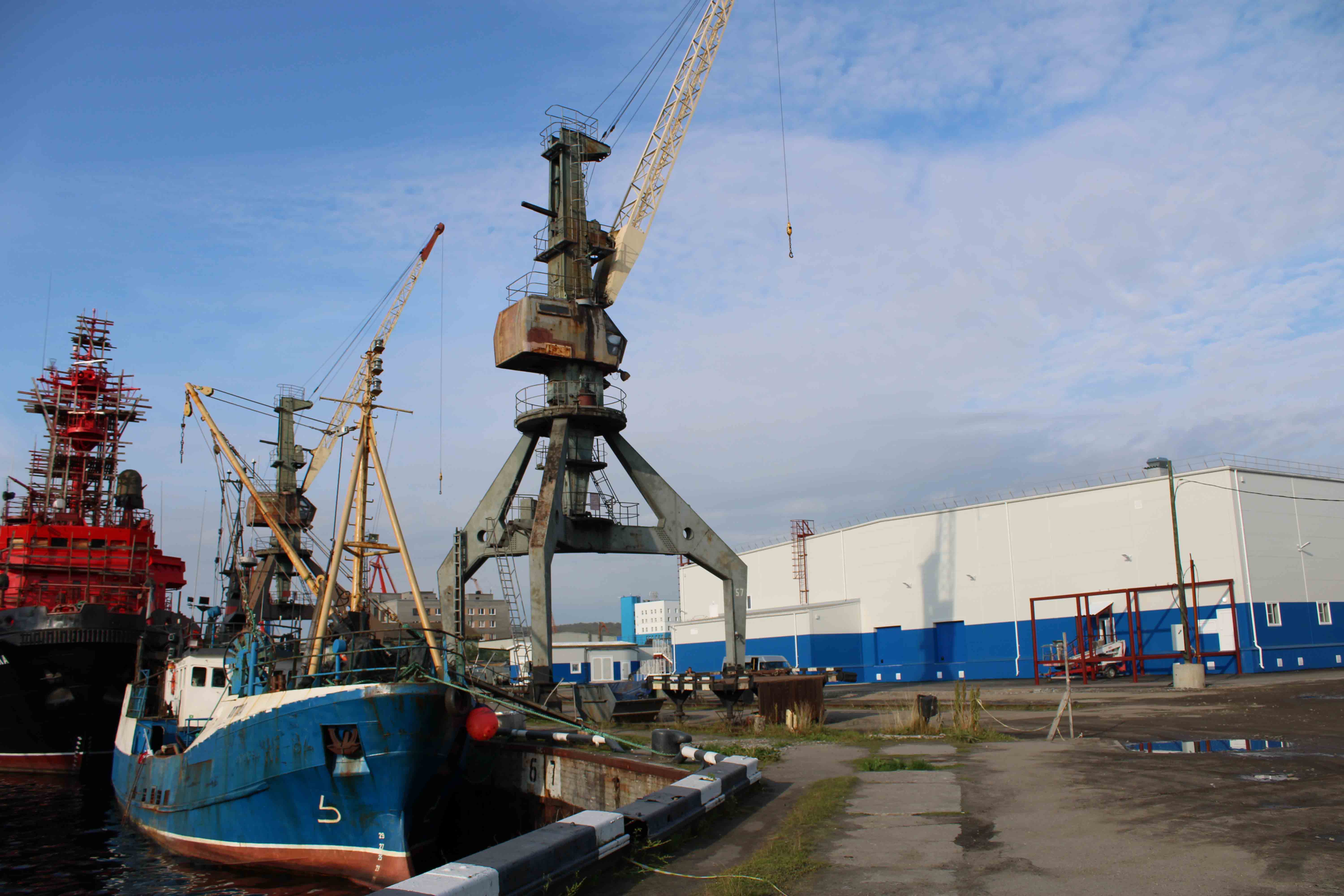 Морской рыбный порт Санкт-Петербург. ТМРП морской рыбный порт. Рыбный порт Мурманск.